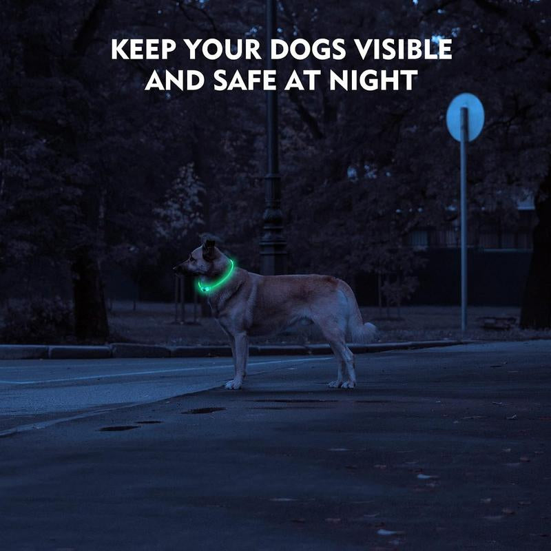 Visibility at an all-time high ensuring safety for your dog